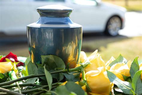 chavez funeral & cremation services inc