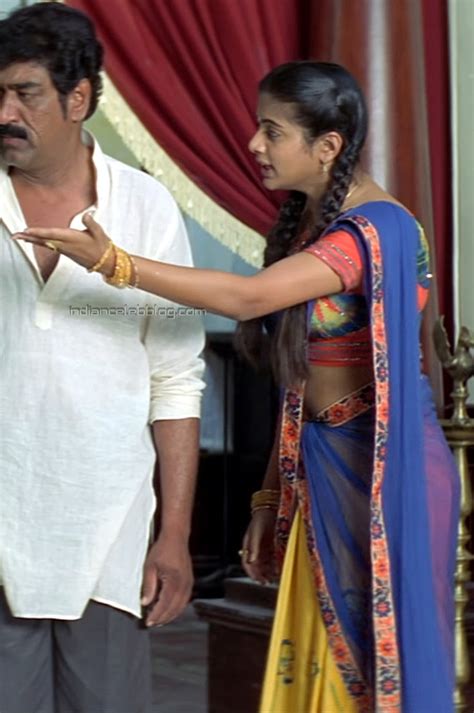 Priyamani Yamadonga Telugu 19 Ntr Hot Saree Hd Caps Indiancelebblog