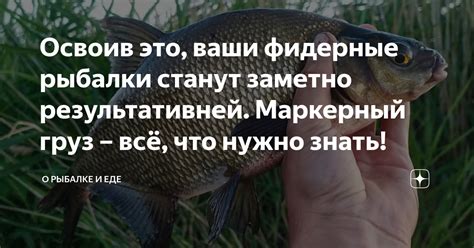 Освоив это, ваши фидерные рыбалки станут заметно результативней ...