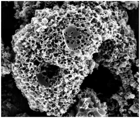 Carbon Paper For Gas Diffusion Layer Preparation Method Of Carbon