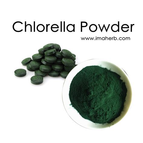 Chlorella Powder Organic Chlorella Vulgaris Powder Protein Chlorella