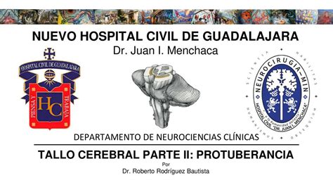 Protuberancia Anular Tallo Cerebral Rob Udocz