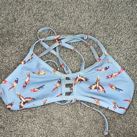 Jolyn Clothing Swim Jolyn Discontinued Limited Edition Parrot Printed Tomcat Bikini Top