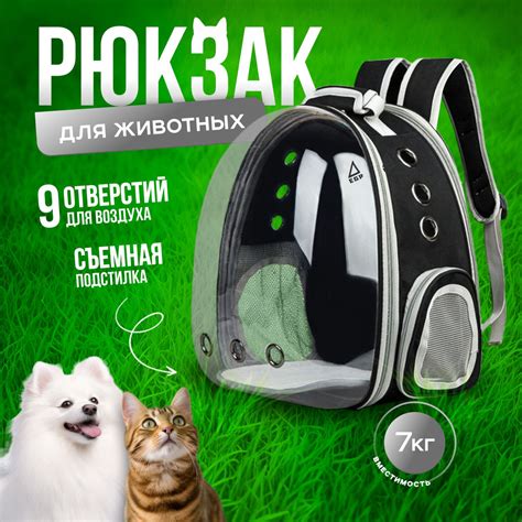Рюкзак для животных мелких пород черный с прозрачной дверцей - купить с ...
