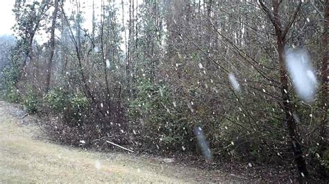 Snowfall In Mobile Alabama Youtube