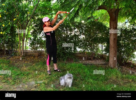 Femme mature dans le jardin Banque de photographies et dimages à haute résolution Alamy