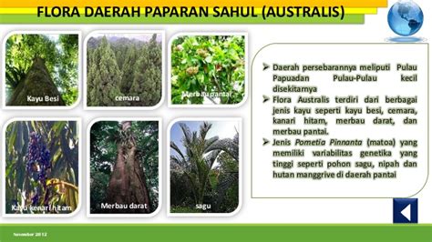 Flora Di Indonesia Bagian Barat Timur Dan Tengah