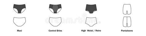 Women Panties Vector A Set Of Different Women Panties A Collection Of