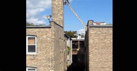 Idiots On Ladders Daily Star