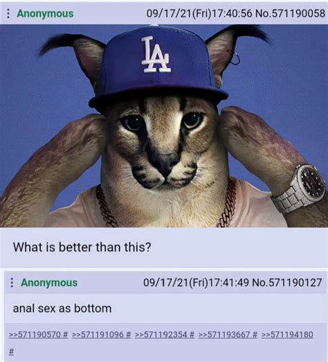 What is better than Floppa? | Scrolller