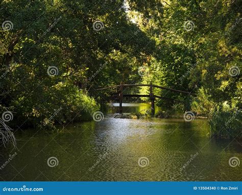 Small Wooden Bridge Over Water Stock Photo Image 13504340