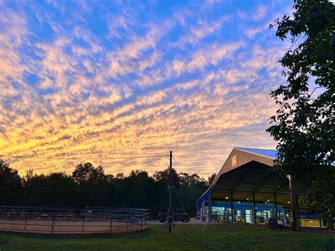 Equine Rescue of Aiken - We hope to see you and your friends at Floyd