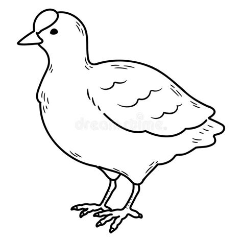 Atra Illustration Stock Illustrations 64 Atra Illustration Stock