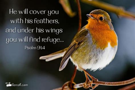 He Will Cover You With His Feathers And Under His Wings You Will Find