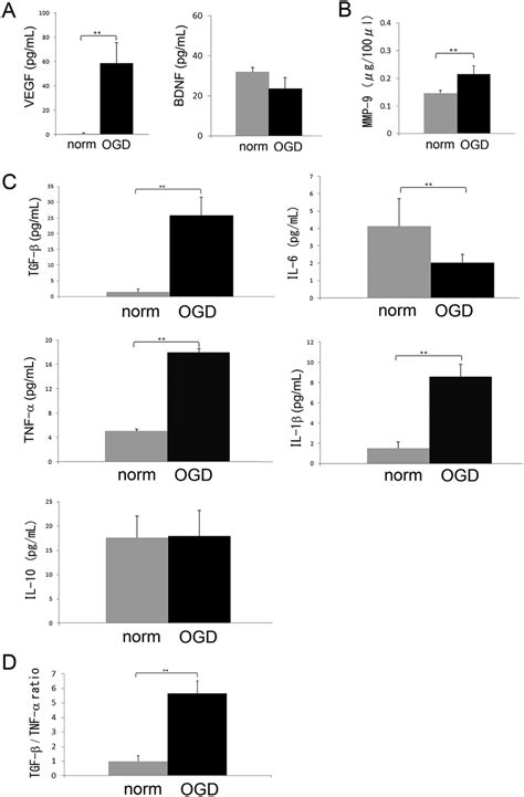 characteristics  murine primary cultured microglia preconditioned