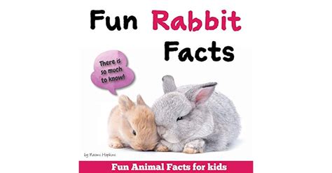 Fun Rabbit Facts Fun Animal Facts For Kids Bunny Facts Book With