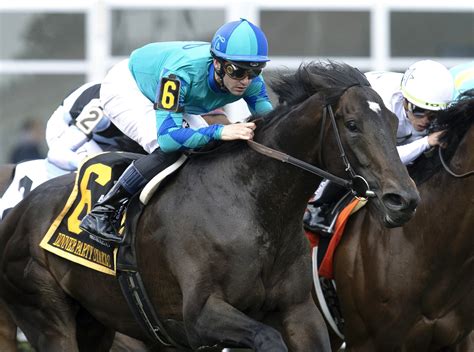 Editors explain the obituaries tampa bay times tribute writing style 11