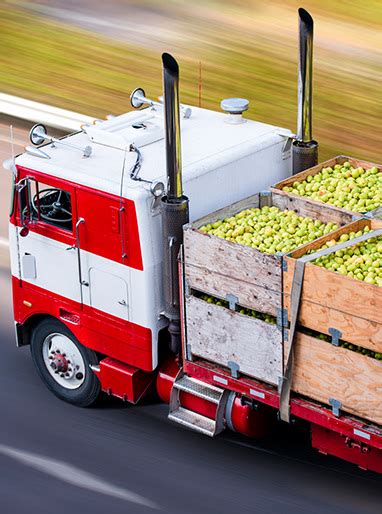 Certified Fresh Food And Beverage Supply Chain Solutions