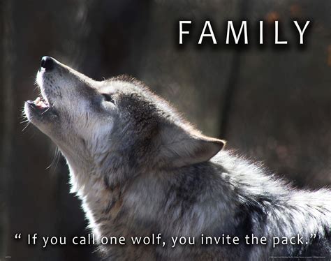 Quotes About A Wolf 1