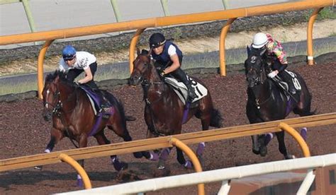 【凱旋門賞】武豊騎手がドウデュース絶賛「うれしくなるような走り」国内最終追いで豪快に先着 海外 競馬 日刊スポーツ