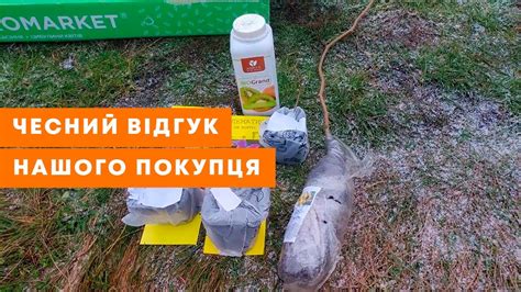 ВІДЕОВІДГУК АГРОМАРКЕТ (ОТЗЫВ) | Рослини в контейнерах на ВЕСНУ2024 ...