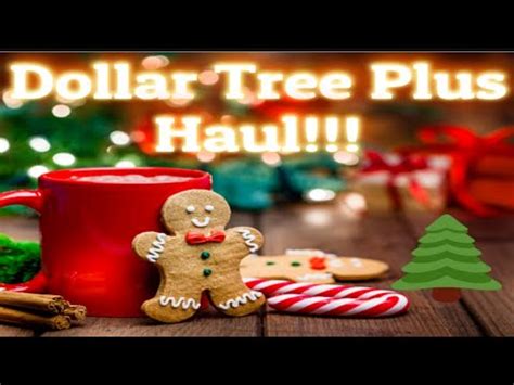 Huge Dollar Tree Plus Haul All Of This Week S Hottest Deals Finds