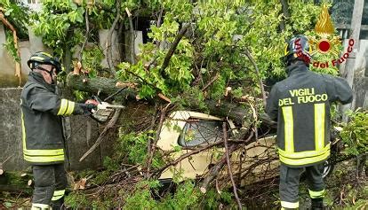 Tornano A Casa I Vigili Del Fuoco Dell Alto Adige