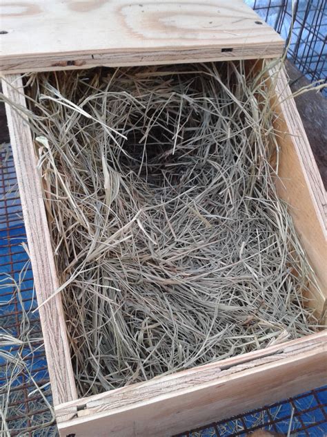 How To Build Rabbit Nest Boxes HOMEGROWN