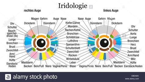 Iridology Diagnosis Chart Here S A Quick Way To Know MAIKONG