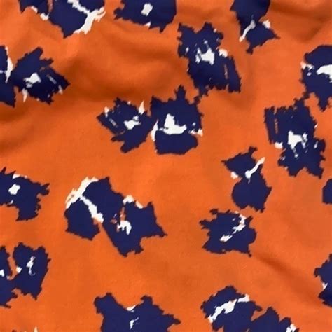 The Bikini Lab Swim The Bikini Lab Bikini Poshmark