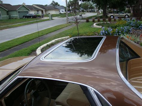 How to clean out the sunroof drain holes – Artofit