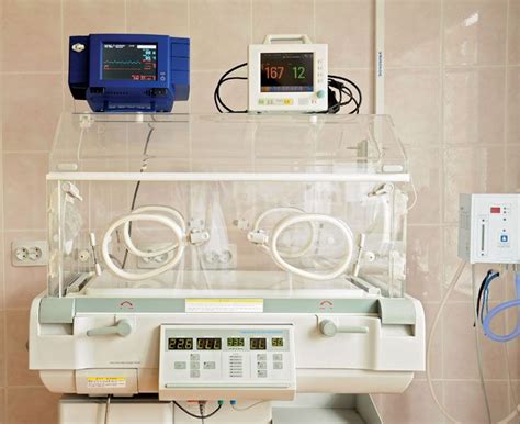 Incubator | Temperature Control, Humidity Regulation & Safety | Britannica