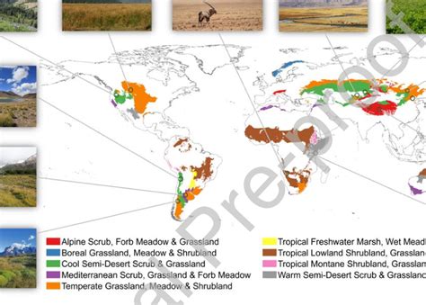 Global Distributions Of Grasslands And Examples Of Landscapes That Can