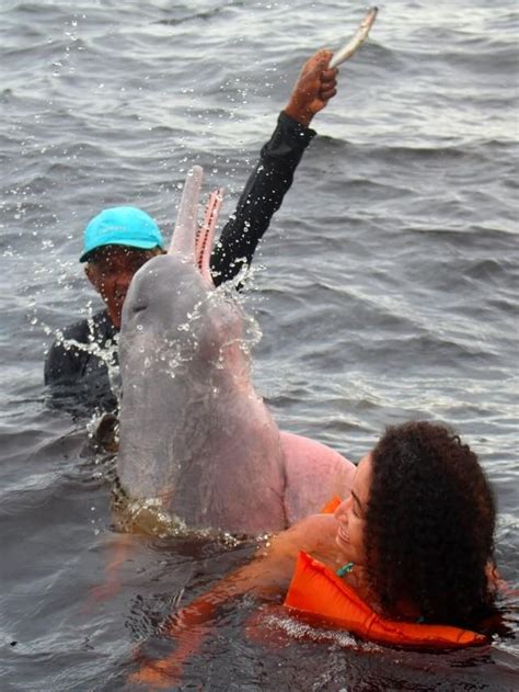 Encontro Das Guas Nado Botos E Muito Mais Em Manaus Chicas