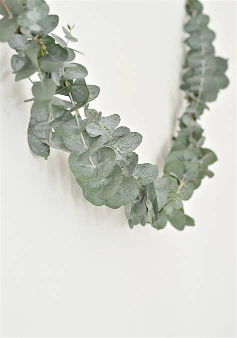 Diy Eucalyptus Garland Thatll Make Your Home Smell Amazing Your