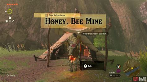 Honey Bee Mine Lanaryu Wetlands Side Adventures The Legend Of