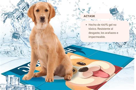 Las Mejores Mantas Refrescantes Para Perros