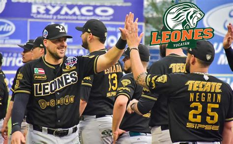 Top Imagen Juego De Leones De Yucatan Hoy Abzlocal Mx