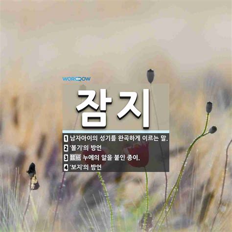 잠지 뜻 남자아이의 성기를 완곡하게 이르는 말 ‘볼기의 방언 누에의 알을 붙인 종이 ‘보 국어 사전