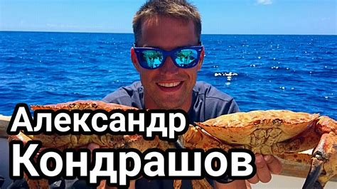 Александр Кондрашов (Alexander Kondrashov) - ТОП 5 видео канала - YouTube