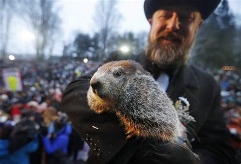 Muere La Marmota De Quebec Sin Predecir El Fin Del Invierno