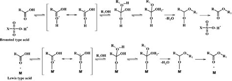 mechanism  esterification   type acid catalysts