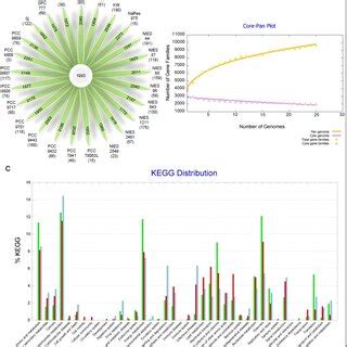 Core Pan Genome Analysis Of M Aeruginosa Strains By Bpga A