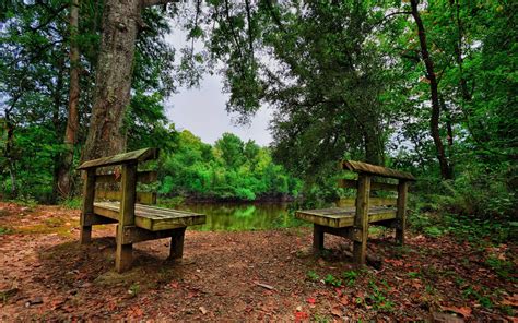 Bench By The Lake Wallpapers Wallpaper Cave