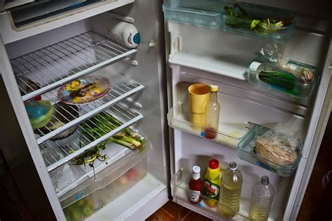 How Often Should You Clean Your Refrigerator Nov Is Clean Your