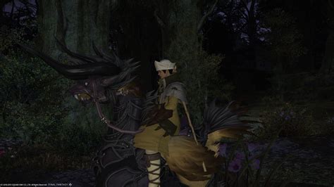 Final Fantasy Xiv Nude Skin Nimfaconstruction