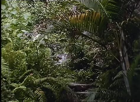 O Free Porn Video Ff XHamster