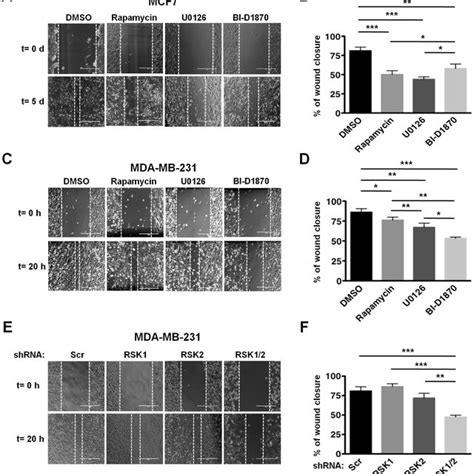 Rsks Control Migration Of Mda Mb 231 Cells A Mcf7 Cells Were