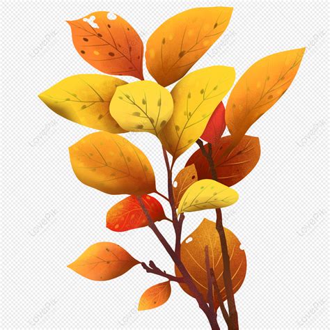 Autumn Leaves Turn Yellow Autumn Leaves Falling Turn Yellow Leaves Png Picture And Clipart