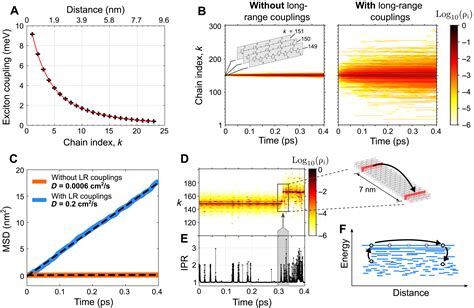 Efficient Energy Transport In An Organic Semiconductor Mediated By